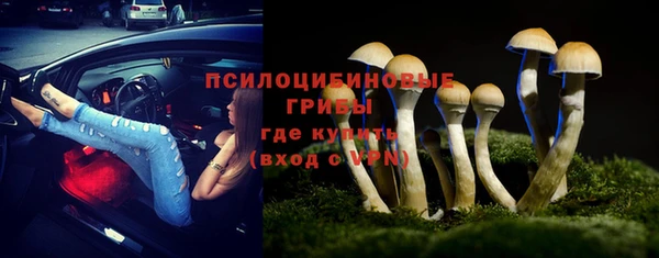 ГАЛЛЮЦИНОГЕННЫЕ ГРИБЫ Бугульма