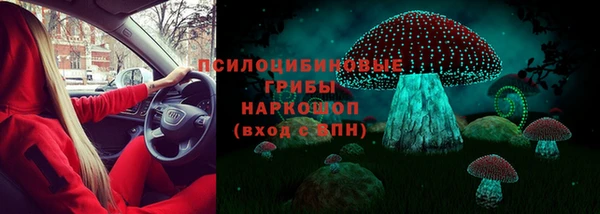 ГАЛЛЮЦИНОГЕННЫЕ ГРИБЫ Бугульма